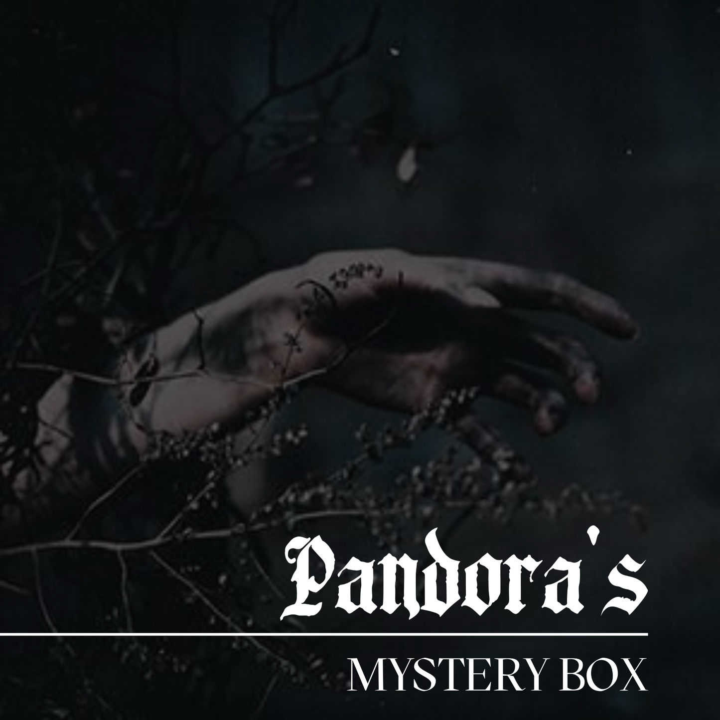 Pandora's Mystery Box